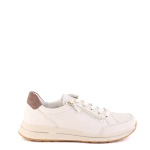 54801 Cream Multi