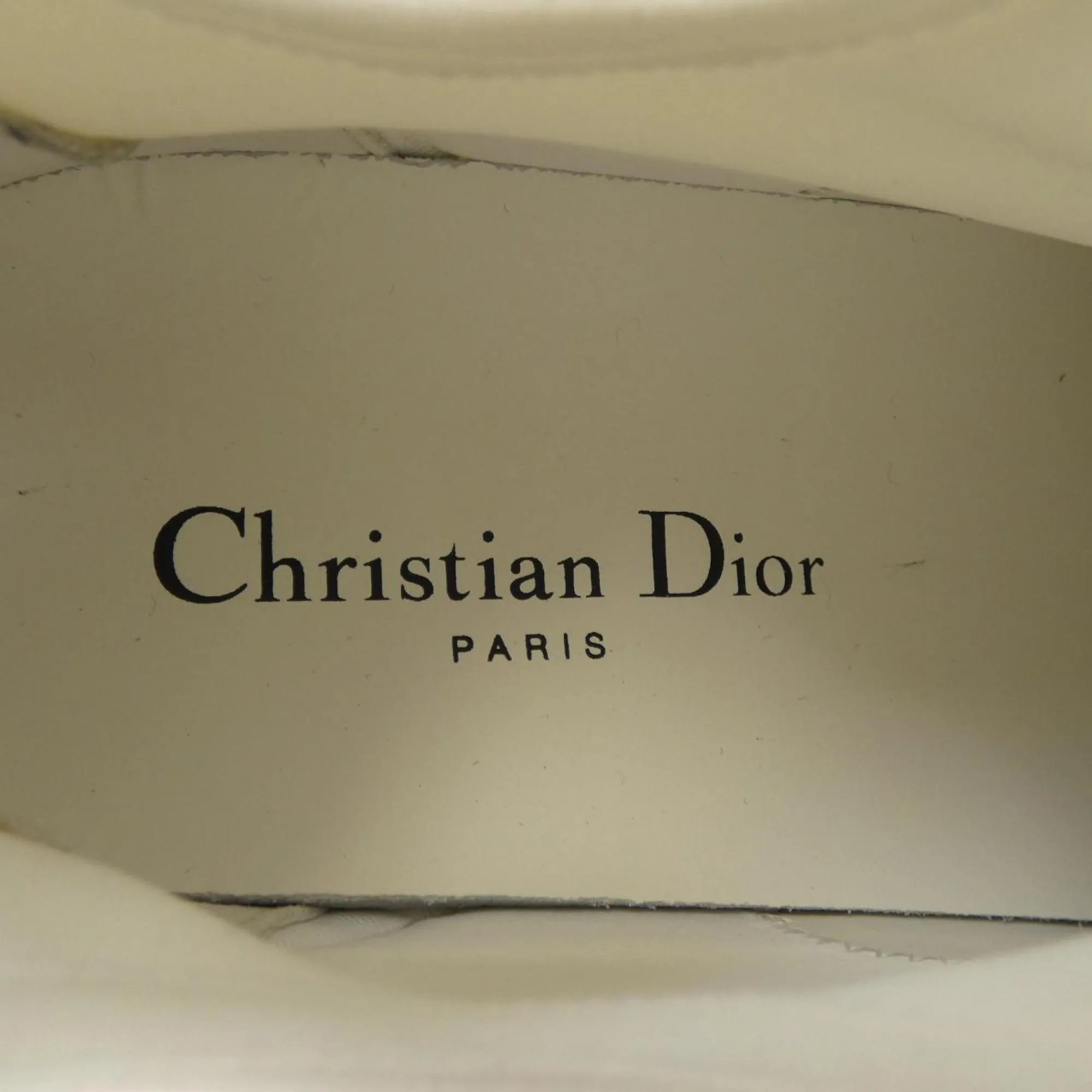Christian Dior Sneakers (Pre-Owned)