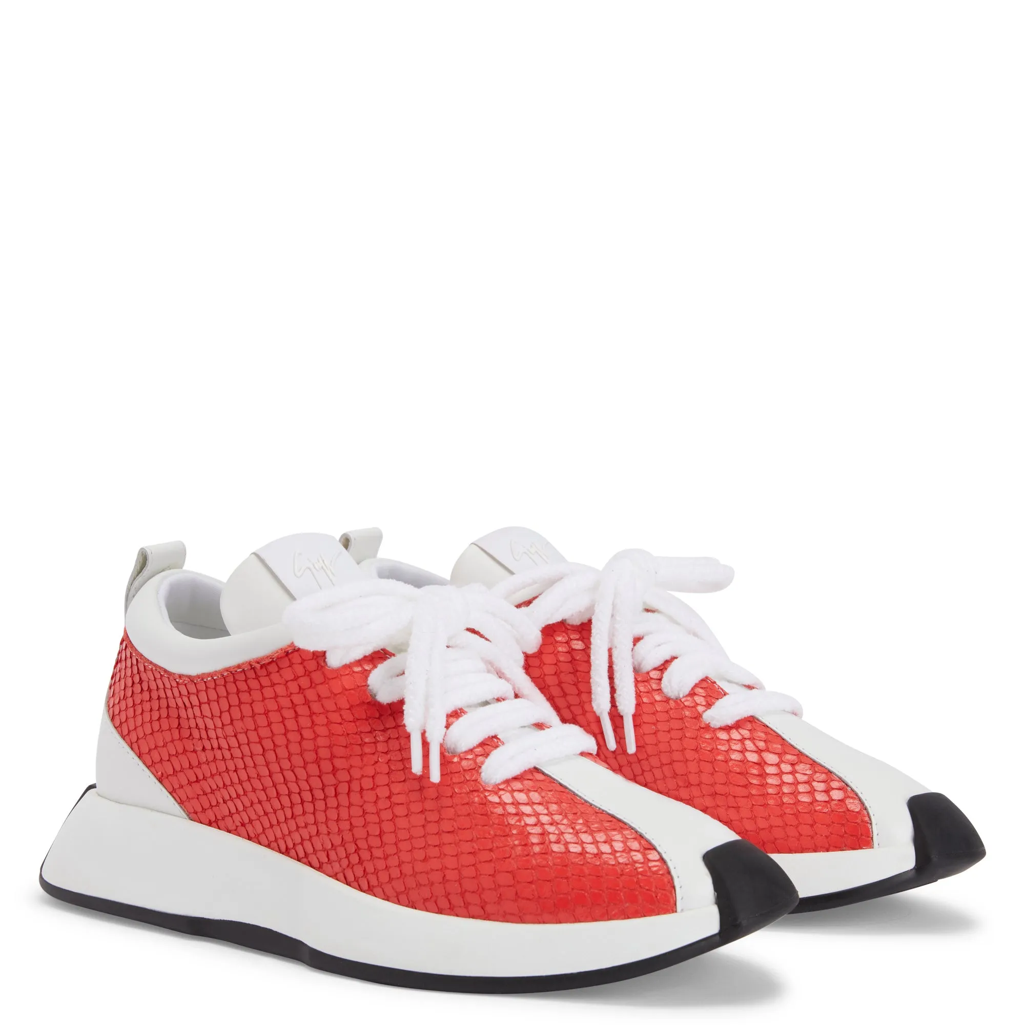 Giuseppe Zanotti Giuseppe Zanotti Ferox