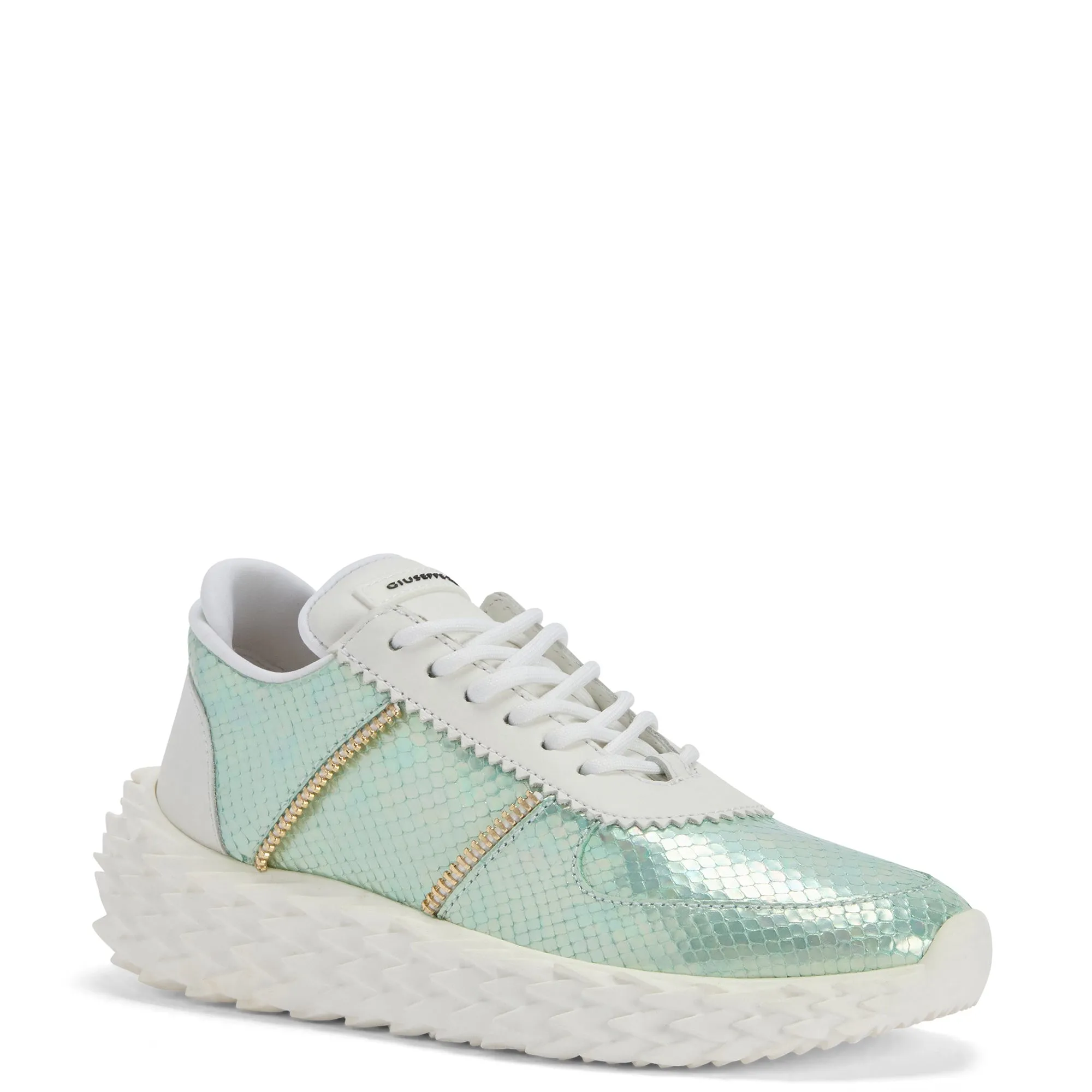 Giuseppe Zanotti Urchin