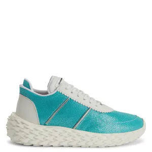 Giuseppe Zanotti Urchin
