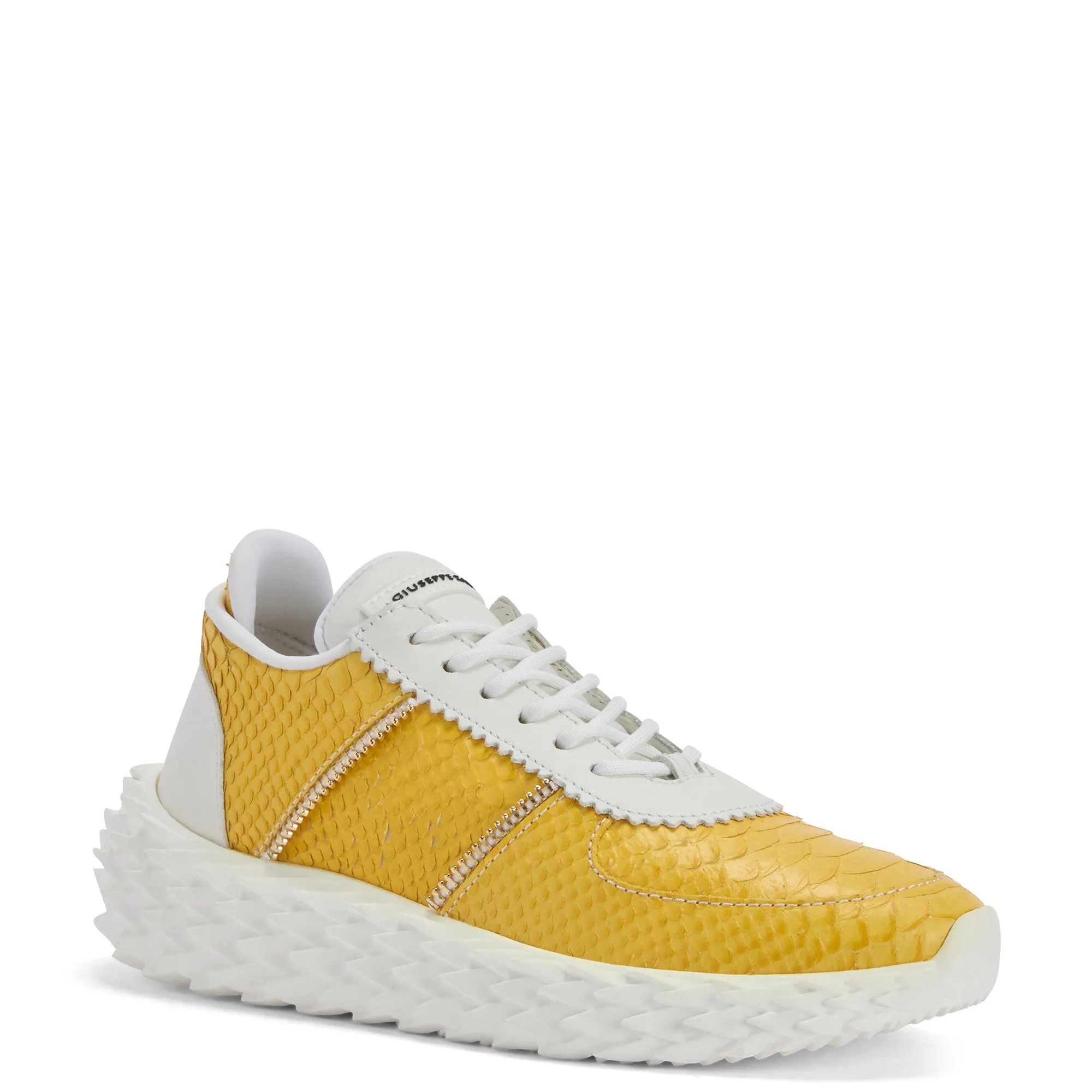 Giuseppe Zanotti Urchin