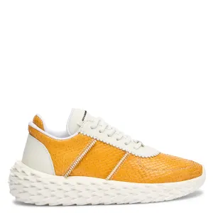 Giuseppe Zanotti Urchin