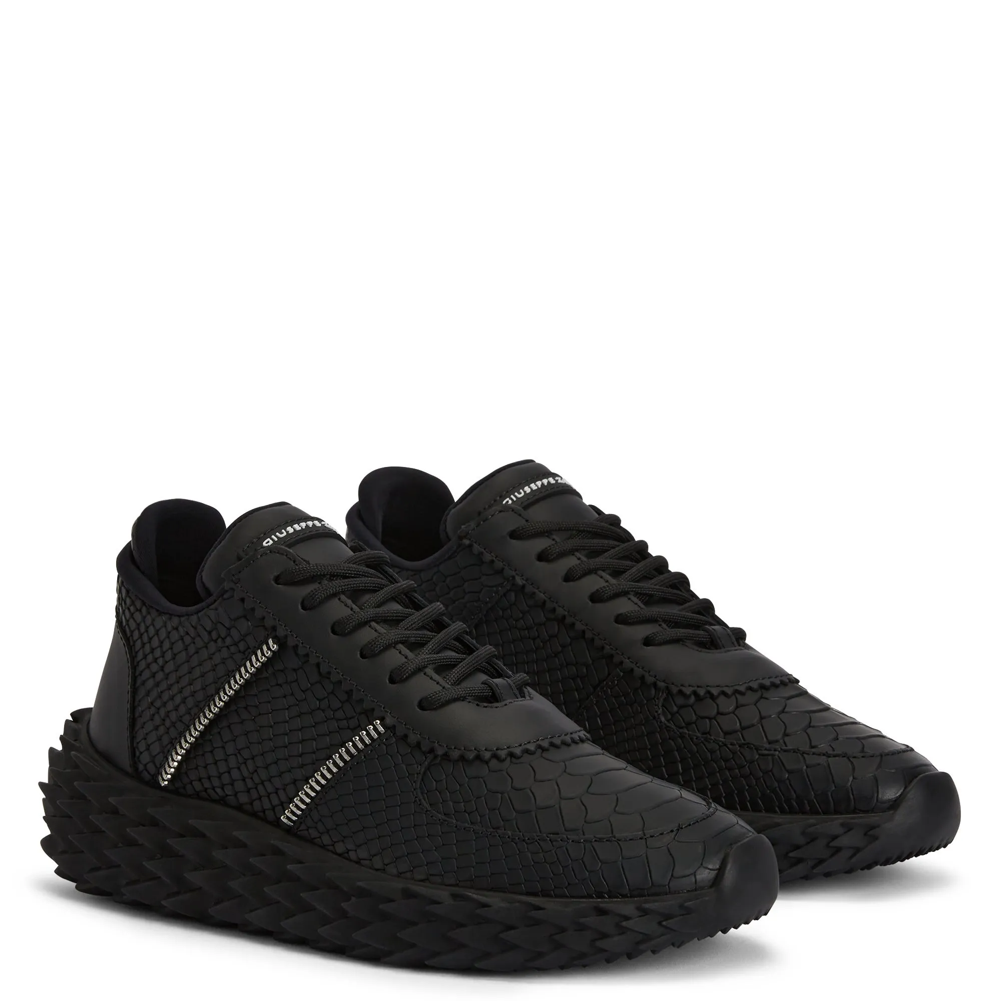 Giuseppe Zanotti Urchin
