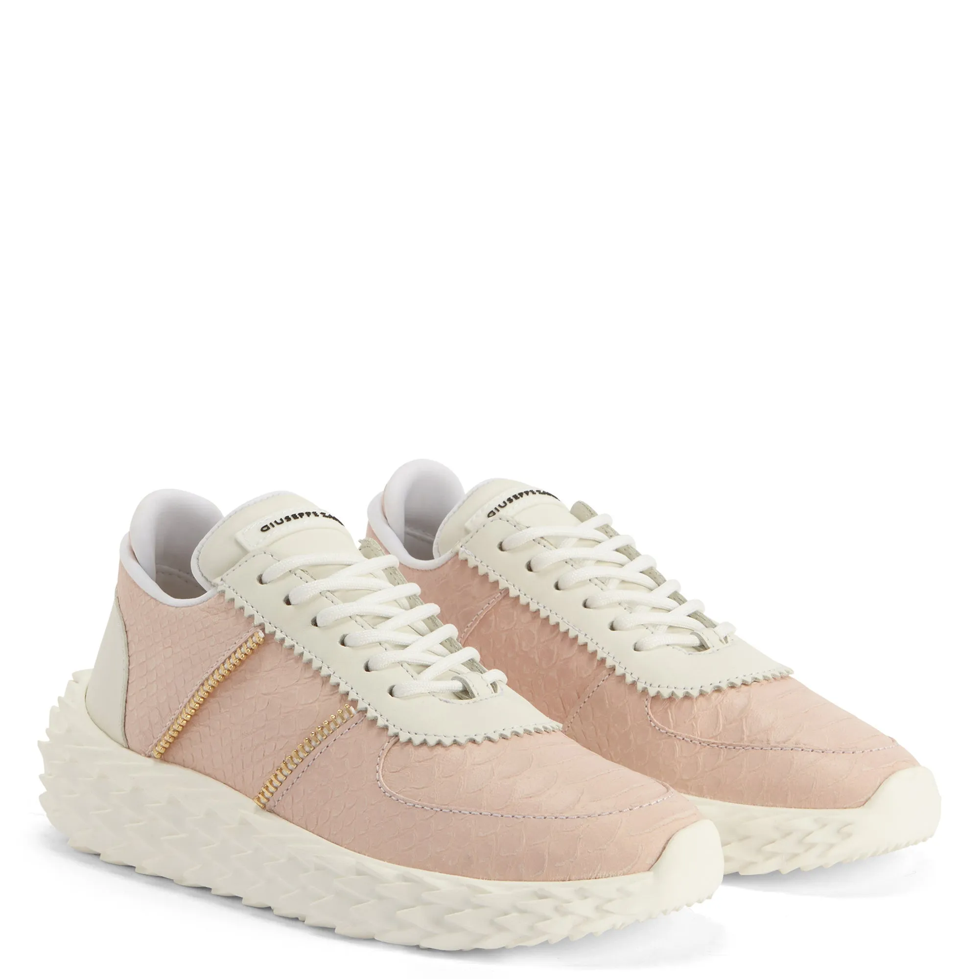 Giuseppe Zanotti Urchin