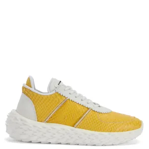 Giuseppe Zanotti Urchin