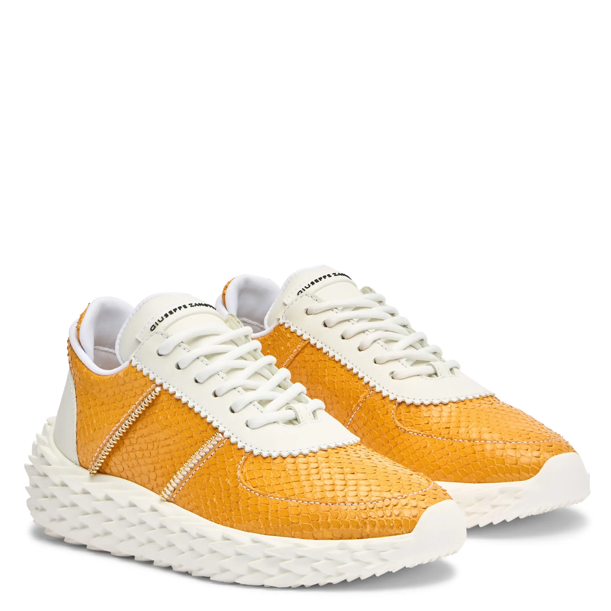 Giuseppe Zanotti Urchin