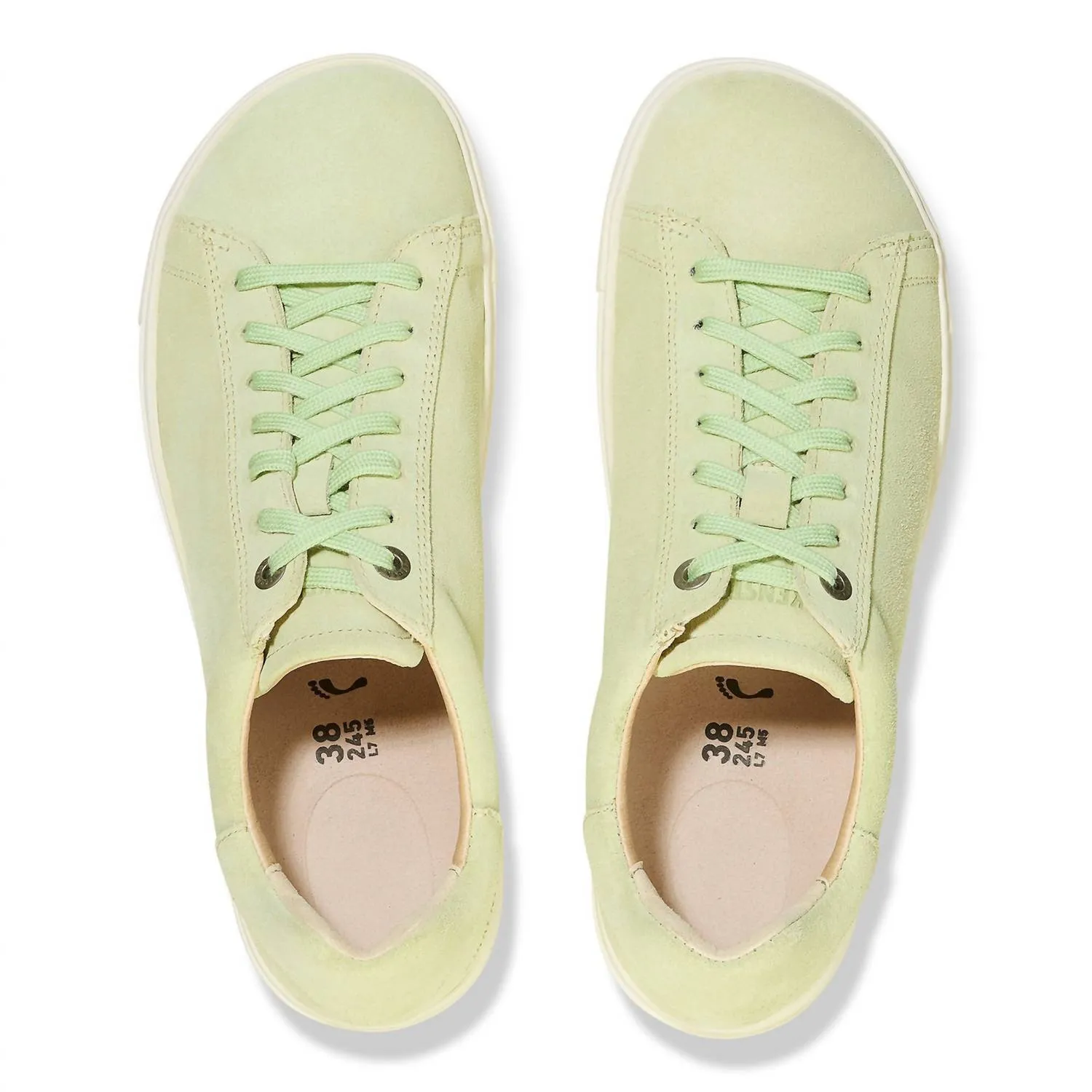 Women's Bend Low Canvas Sneaker In Faded Lime