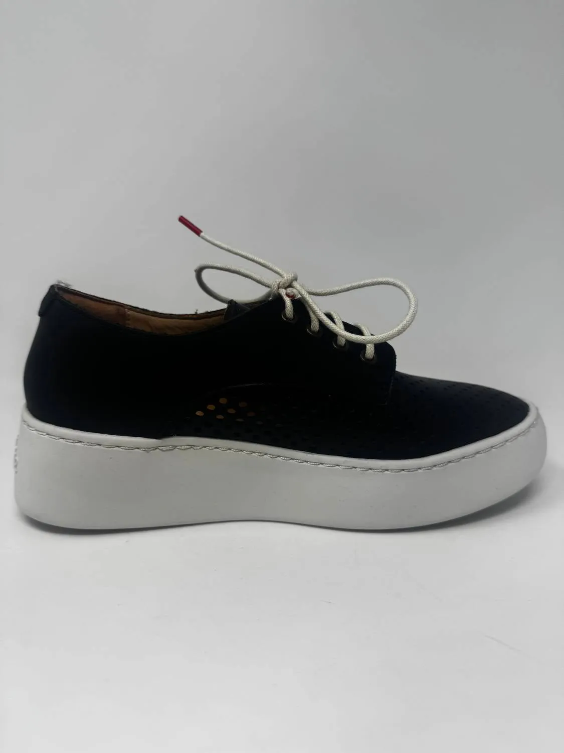 Women's Derby City Punch Sneakers In Black